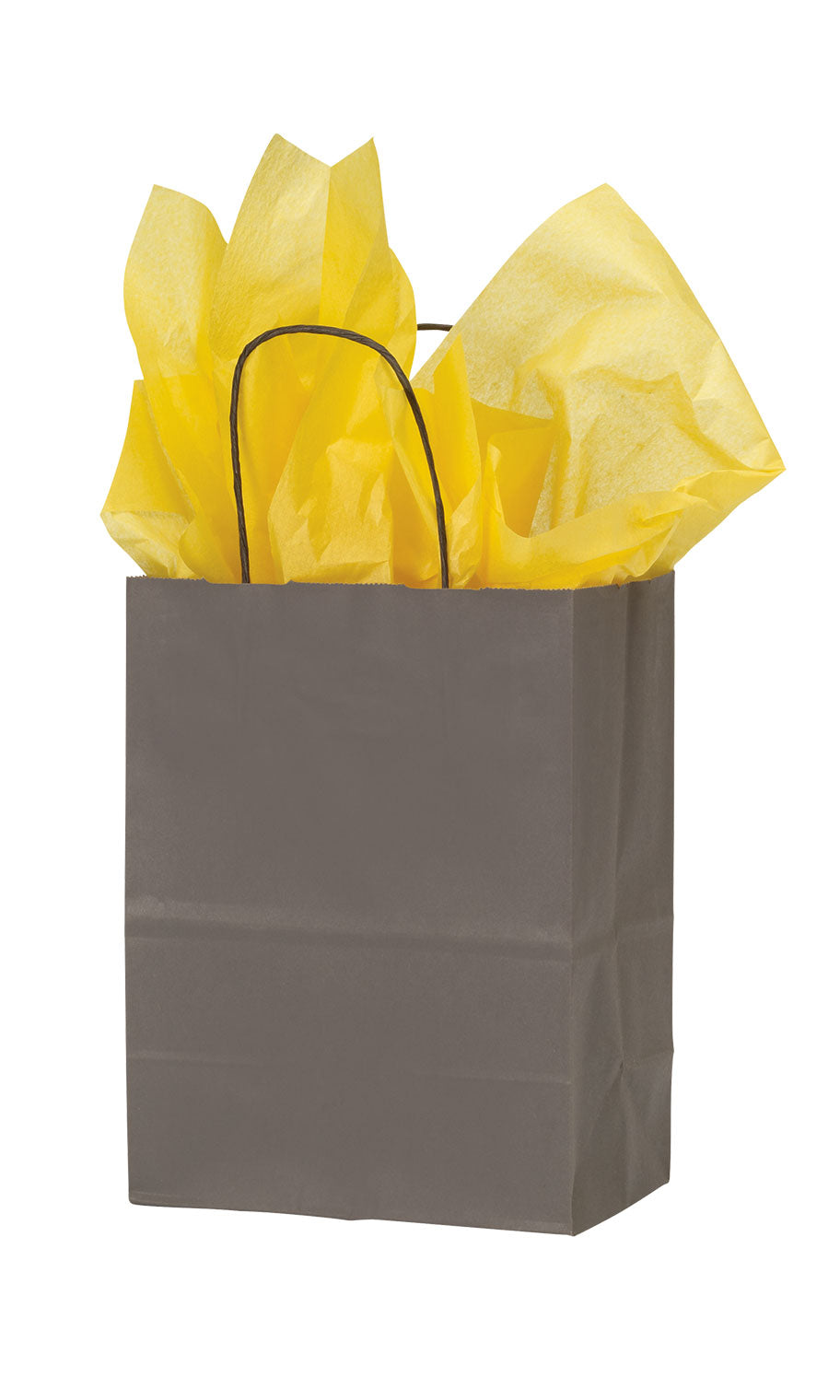 Storm Gray Medium Paper Shopping Bag 8.25 x 4.75 x 10.5 Inches - Case of 100