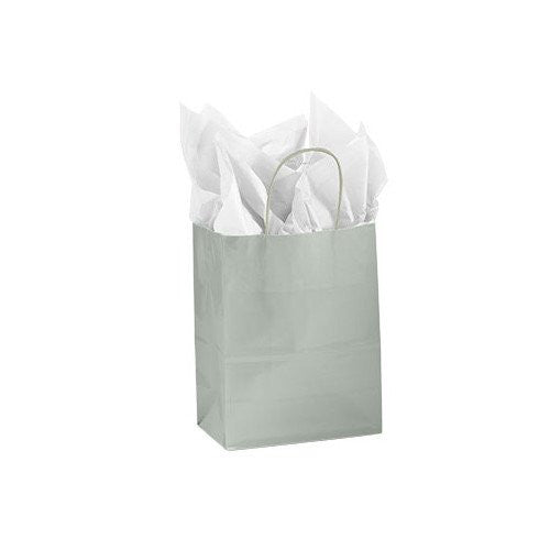 Silver Medium Paper Shopping Bags 8 x 4.30 x 10.25 Inches - Case of 100