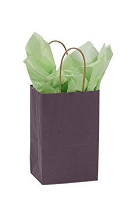 Paper Small Shopping Bags in Plum 5.25 x 3.25 x 8.75 Inches - Count of 25