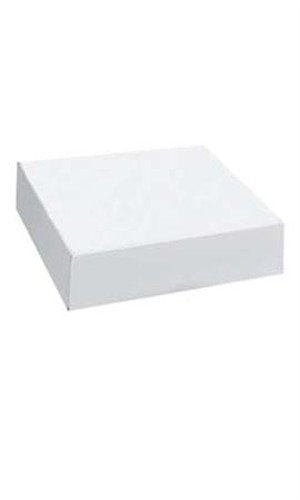 Apparel Boxes in White 19 x 12 x 3 Inches - Case of 50
